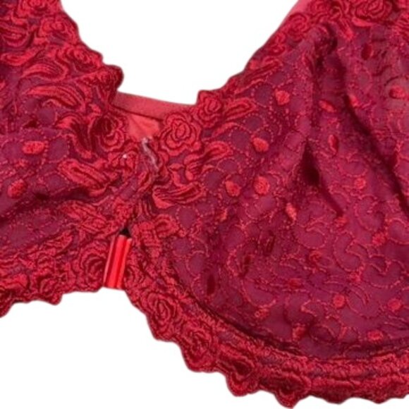 Amoureuse Women's Plus Size Embroidered Underwire Bra Red 40DDD - Picture 2 of 8